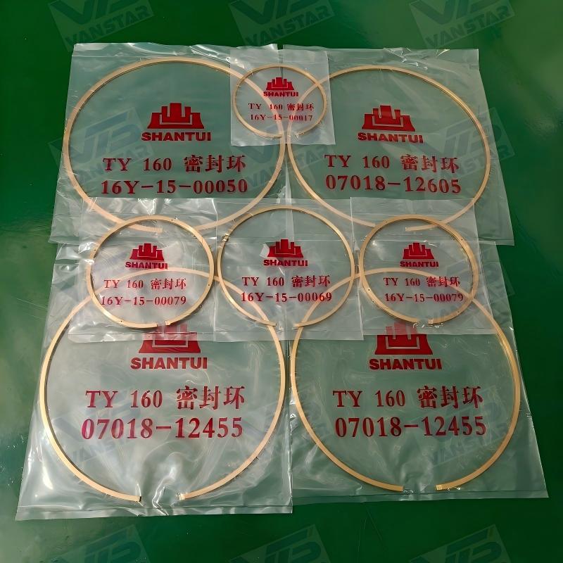 Bulldozer SD16 B160 transmission repair kit bronze ring kit